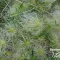 Realizan relevamiento sobre la comunicación de la biodiversidad en la Provincia