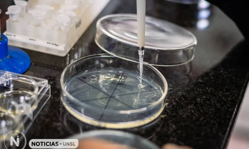 Brasil financia proyectos científicos regionales