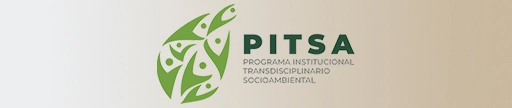 Ingreso al sitio web del programa Institucional Transdisciplinario Socioambiental