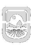 9 de julio logo